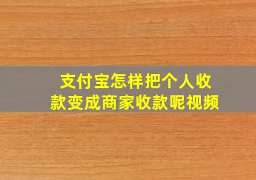 支付宝怎样把个人收款变成商家收款呢视频