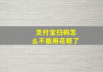 支付宝扫码怎么不能用花呗了