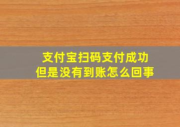 支付宝扫码支付成功但是没有到账怎么回事