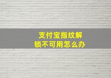 支付宝指纹解锁不可用怎么办