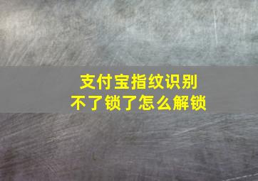 支付宝指纹识别不了锁了怎么解锁