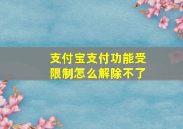 支付宝支付功能受限制怎么解除不了