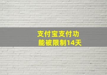 支付宝支付功能被限制14天