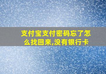 支付宝支付密码忘了怎么找回来,没有银行卡