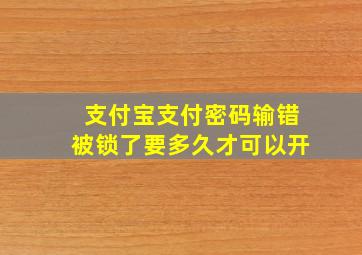 支付宝支付密码输错被锁了要多久才可以开