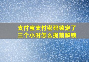 支付宝支付密码锁定了三个小时怎么提前解锁