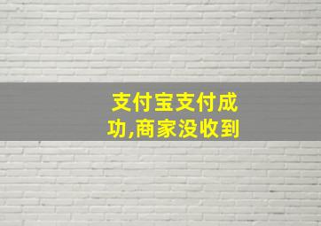 支付宝支付成功,商家没收到