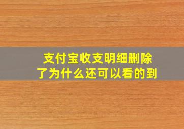 支付宝收支明细删除了为什么还可以看的到