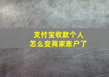 支付宝收款个人怎么变商家账户了