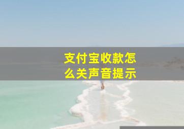 支付宝收款怎么关声音提示