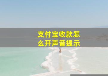 支付宝收款怎么开声音提示