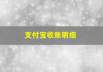 支付宝收账明细