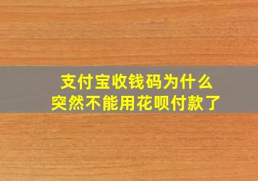 支付宝收钱码为什么突然不能用花呗付款了