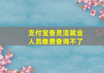 支付宝查灵活就业人员缴费查询不了