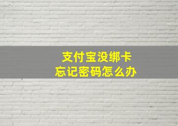 支付宝没绑卡忘记密码怎么办