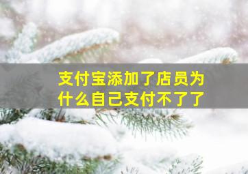 支付宝添加了店员为什么自己支付不了了