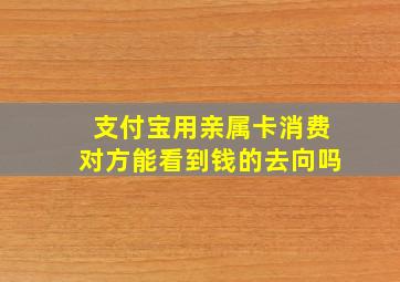 支付宝用亲属卡消费对方能看到钱的去向吗