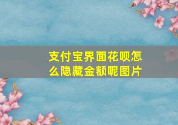 支付宝界面花呗怎么隐藏金额呢图片