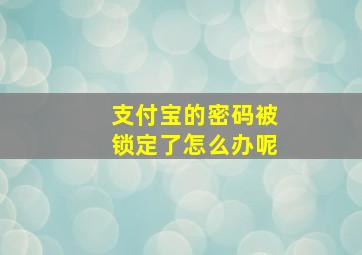 支付宝的密码被锁定了怎么办呢