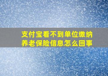 支付宝看不到单位缴纳养老保险信息怎么回事