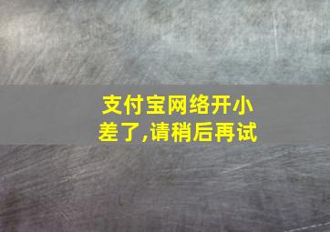 支付宝网络开小差了,请稍后再试