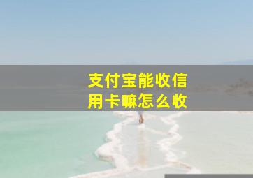 支付宝能收信用卡嘛怎么收