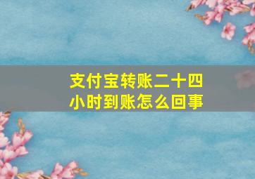 支付宝转账二十四小时到账怎么回事