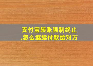 支付宝转账强制终止,怎么继续付款给对方