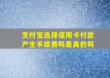 支付宝选择信用卡付款产生手续费吗是真的吗