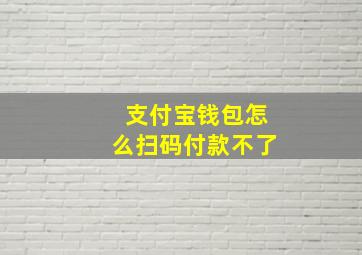 支付宝钱包怎么扫码付款不了