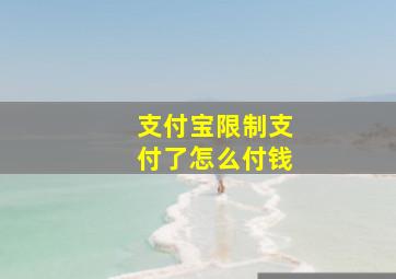 支付宝限制支付了怎么付钱