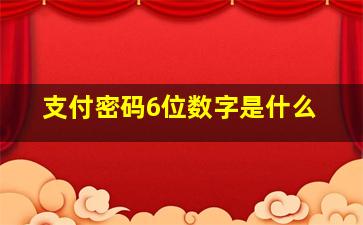 支付密码6位数字是什么