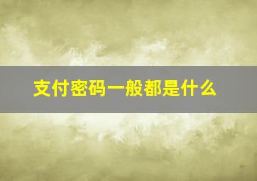 支付密码一般都是什么