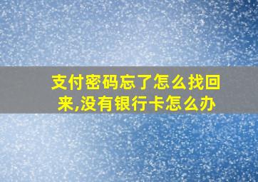 支付密码忘了怎么找回来,没有银行卡怎么办