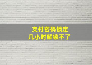 支付密码锁定几小时解锁不了