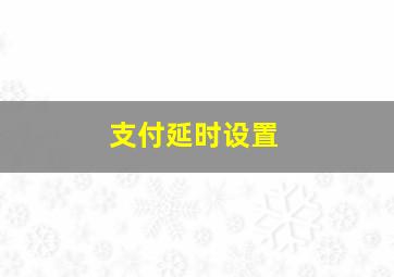 支付延时设置