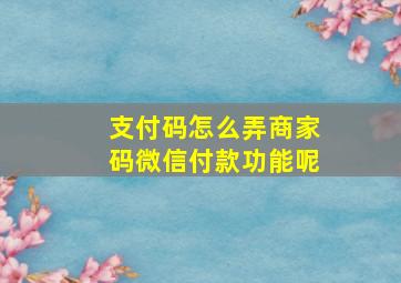 支付码怎么弄商家码微信付款功能呢