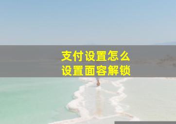 支付设置怎么设置面容解锁