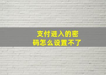 支付进入的密码怎么设置不了