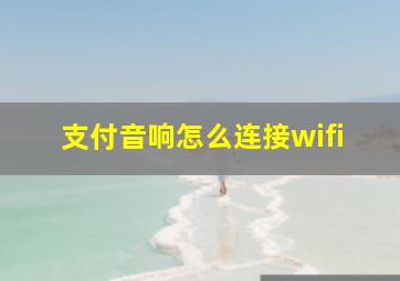 支付音响怎么连接wifi