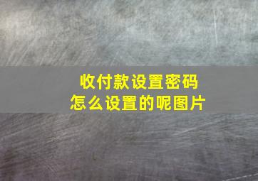 收付款设置密码怎么设置的呢图片