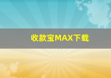 收款宝MAX下载