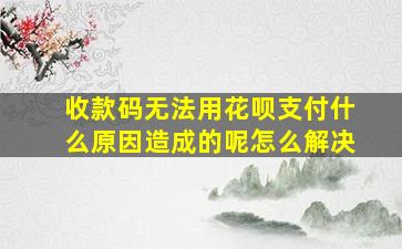 收款码无法用花呗支付什么原因造成的呢怎么解决