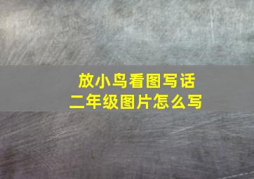 放小鸟看图写话二年级图片怎么写