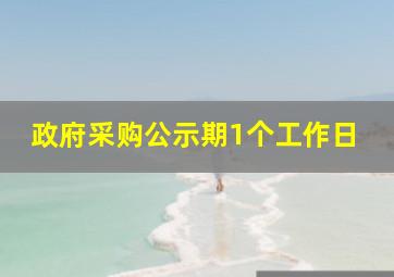 政府采购公示期1个工作日