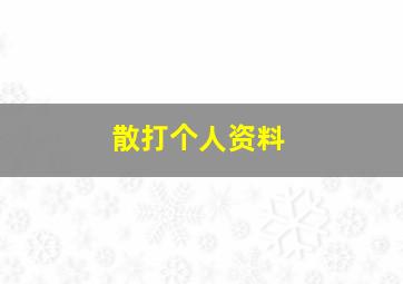 散打个人资料