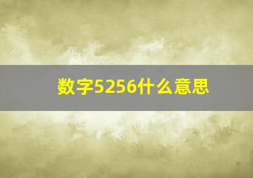 数字5256什么意思