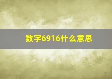 数字6916什么意思