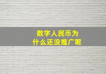 数字人民币为什么还没推广呢