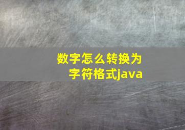 数字怎么转换为字符格式java